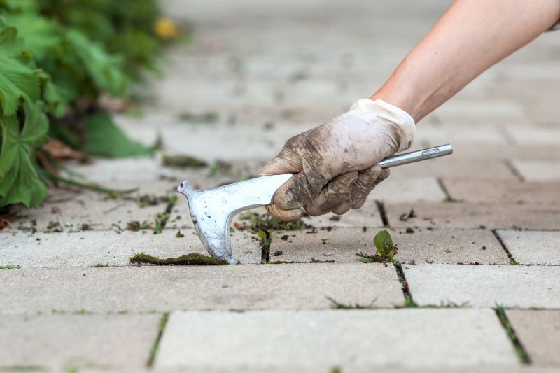 Pavers Landscaping
